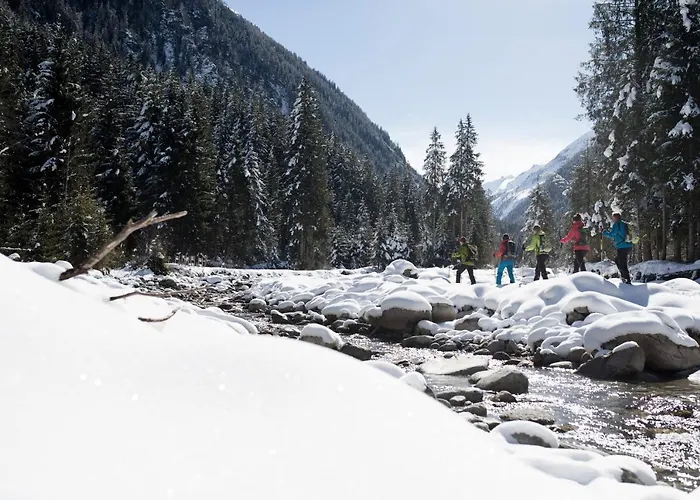 هاوس ليرتشير